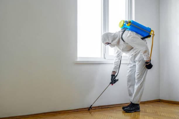 Best Pest Prevention Services  in Beaver, UT