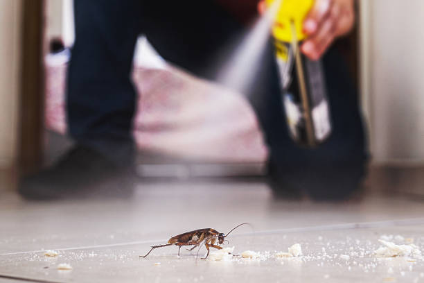 Best Affordable Pest Control Services  in Beaver, UT